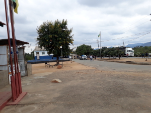 Nyamapanda/Cuchimano